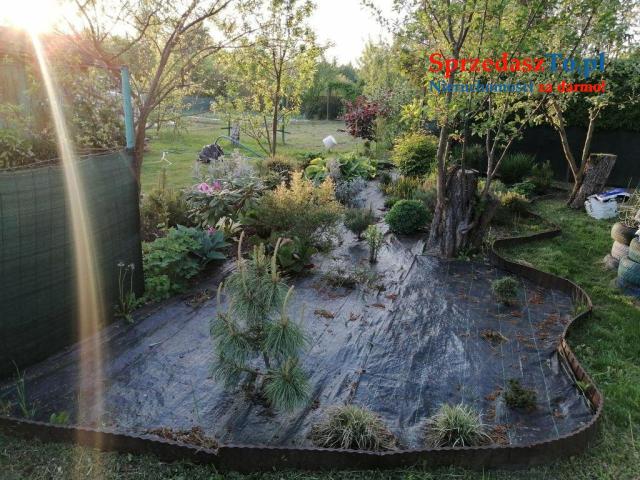 Duża działka ROD - 13