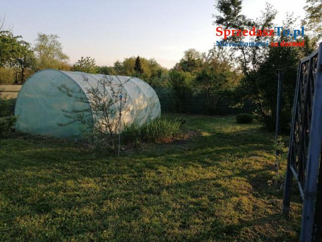 Duża działka ROD - 14