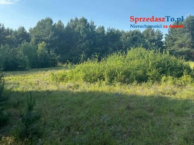 Działki rolne z możliwością budowy na zgłoszenie - 6