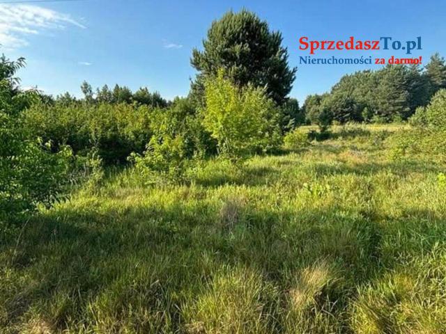 Działki rolne z możliwością budowy na zgłoszenie - 8