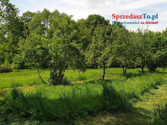 Sprzedam dzialke budowlana - 7