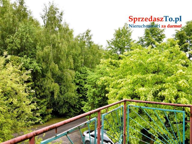 Dom w spokojnej zielonej okolicy z dużą działką - 7