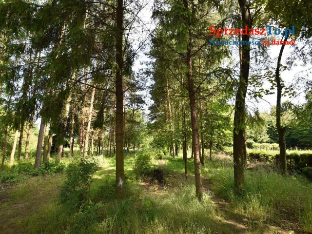 Dom w zabudowie bliźniaczej w Strumieniu - 17