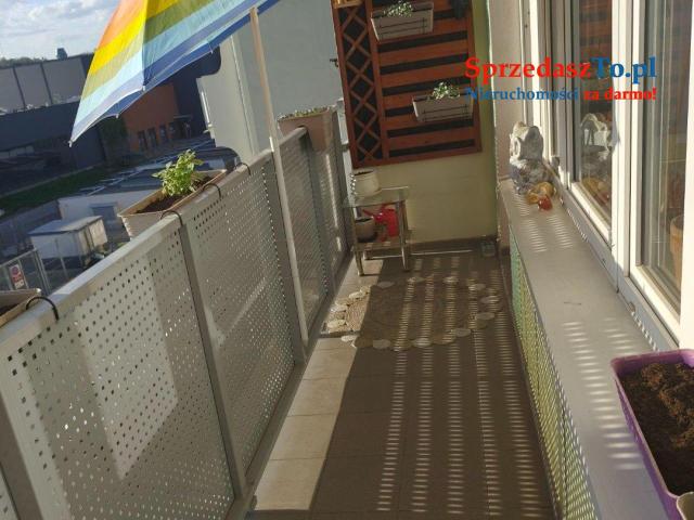 Sprzedam mieszkanie 48m - 8