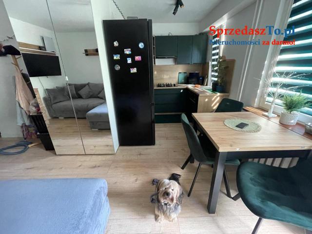 Mieszkanie 39 metrów po kapitalnym remoncie 2 piętro - 16