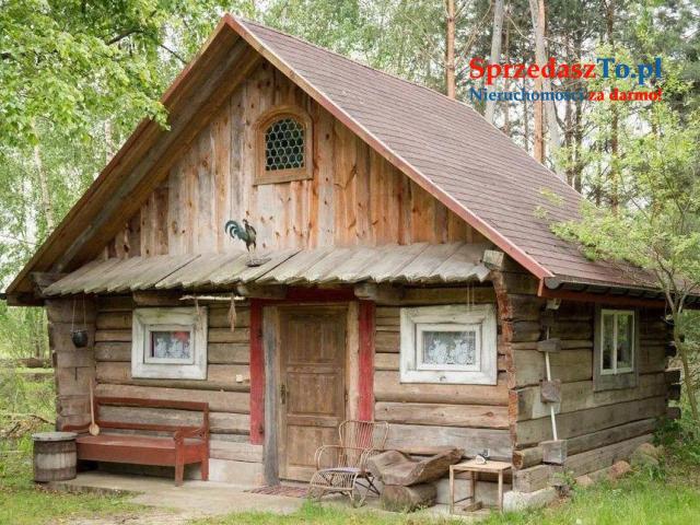 Domek w lesie - 7
