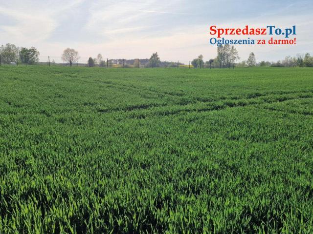 Działki nad jeziorem Głuszyńskim