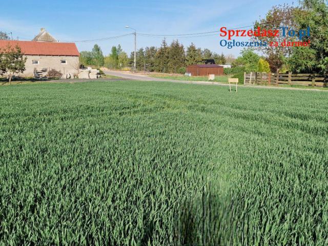 Działki nad jeziorem Głuszyńskim