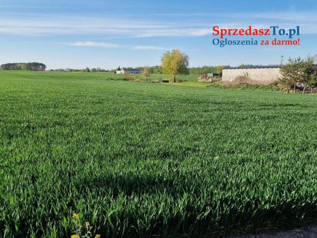 Działki nad jeziorem Głuszyńskim - 6