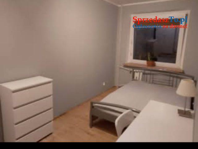 Pokój do wynajęcia