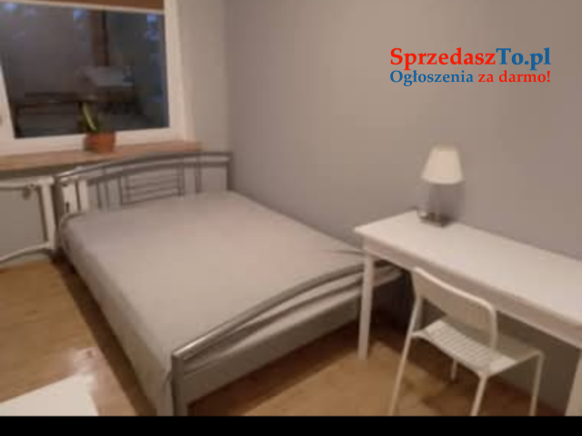 Pokój do wynajęcia
