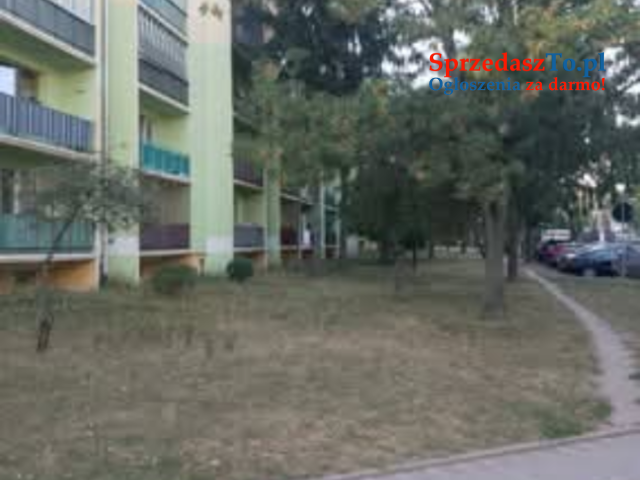 Pokój do wynajęcia