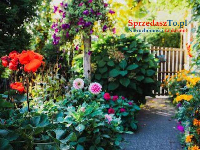 DOM JEDNORODZINNY dla przedsiębiorczych :) - 10