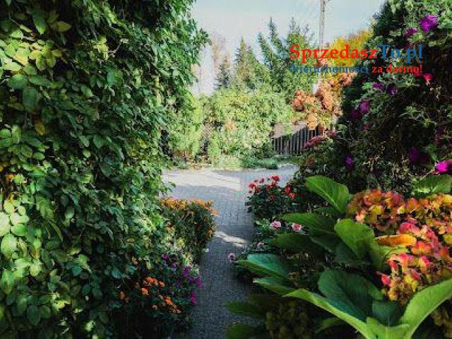 DOM JEDNORODZINNY dla przedsiębiorczych :) - 11