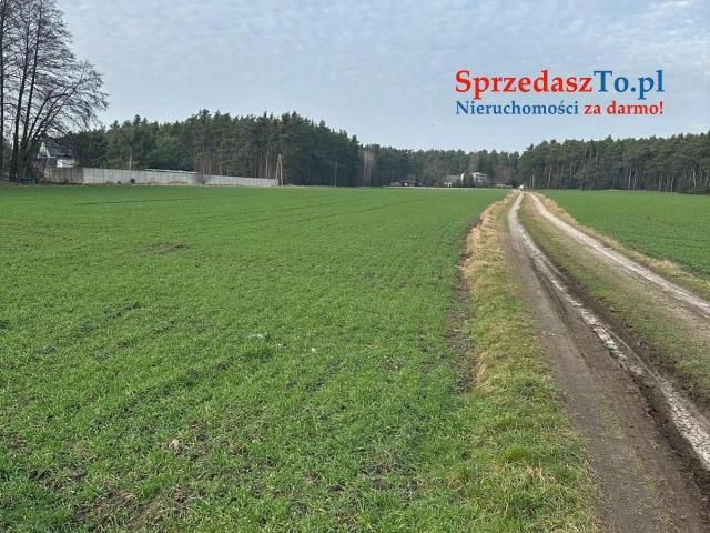 Sprzedam 12 działek po 900m2