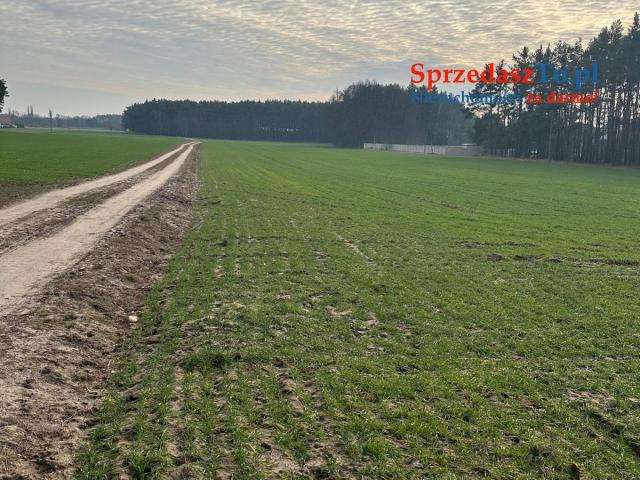 Sprzedam 12 działek po 900m2