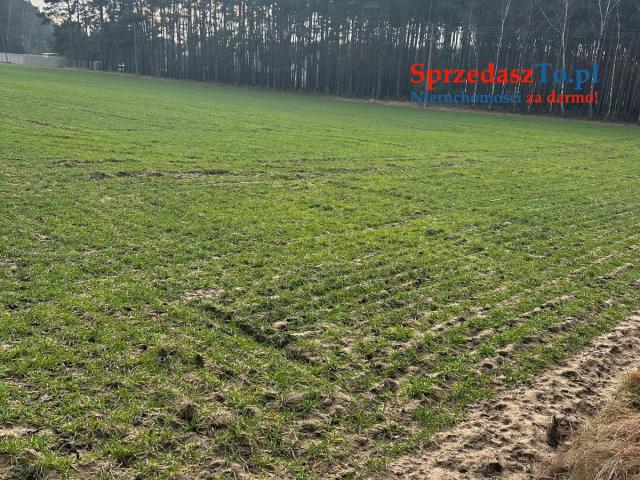 Sprzedam 12 działek po 900m2