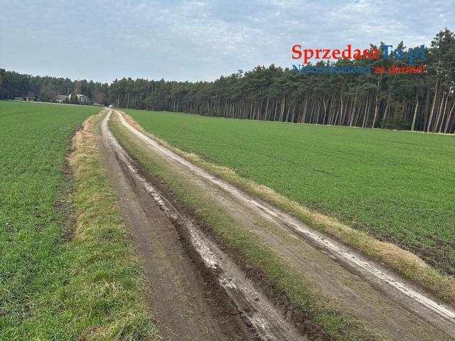 Sprzedam 12 działek po 900m2