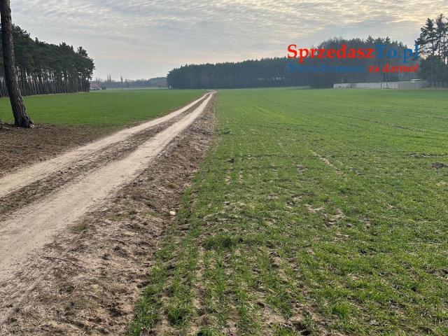Sprzedam 12 działek po 900m2