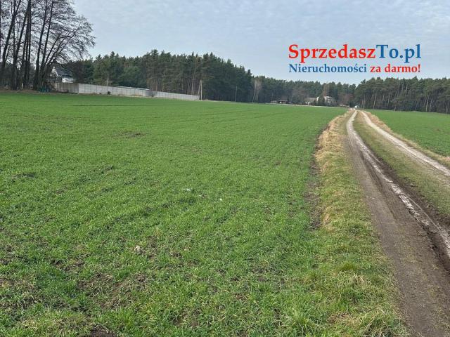 Sprzedam 12 działek po 900m2 - 6