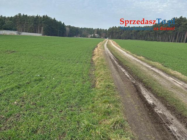 Sprzedam 12 działek po 900m2 - 7