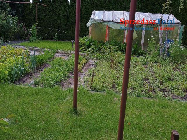 Działka warzywno rekreacyjna - 10