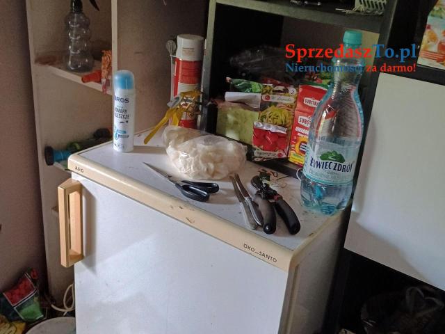 Działka warzywno rekreacyjna - 13