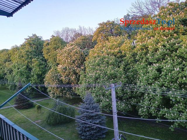 Mieszkanie na sprzedaż Samostrzel - 13