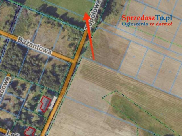 2 Działki 520 (8700m²) i 519 (1400m²)