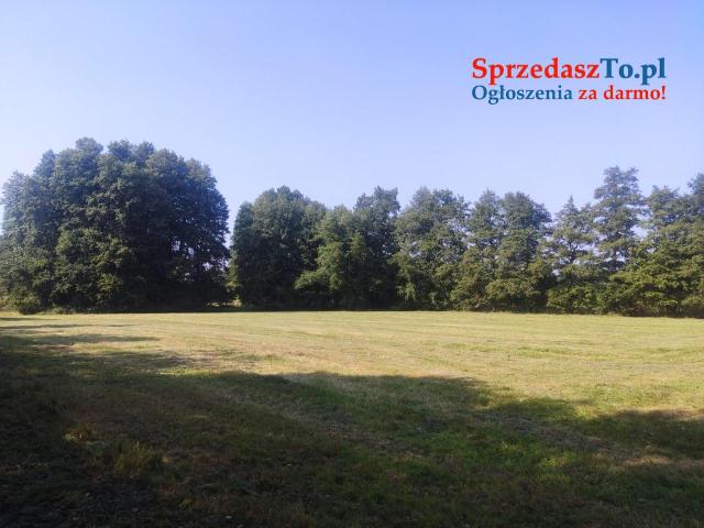 2 Działki 520 (8700m²) i 519 (1400m²)