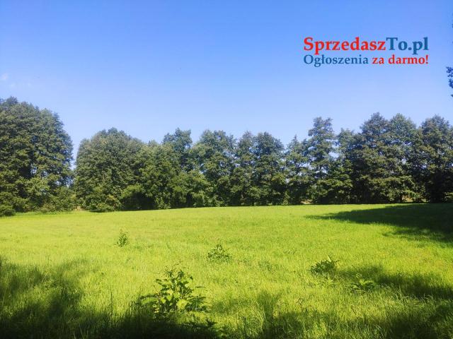 2 Działki 520 (8700m²) i 519 (1400m²)