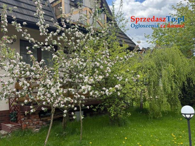 🏡 Na sprzedaż – dom z 3 niezależnymi Apartamentami Poronin k/Zakopanego - 8