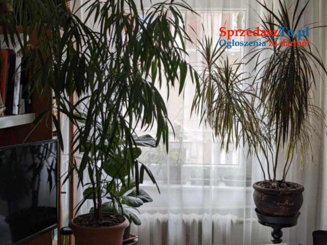 Mieszkanie 52m2 nad jeziorem - 9