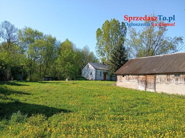 Sprzedaż Domu nad rzeką Bug - 7