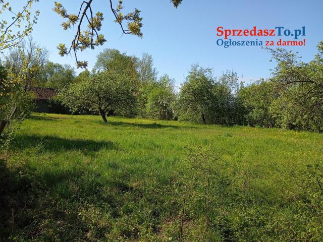 Sprzedaż Domu nad rzeką Bug - 8