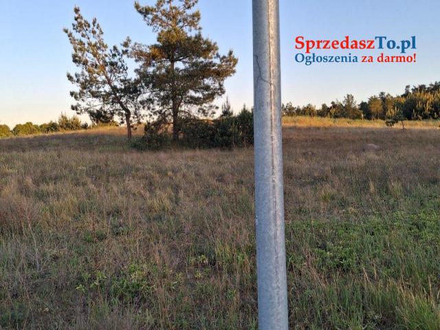 Dzialka
