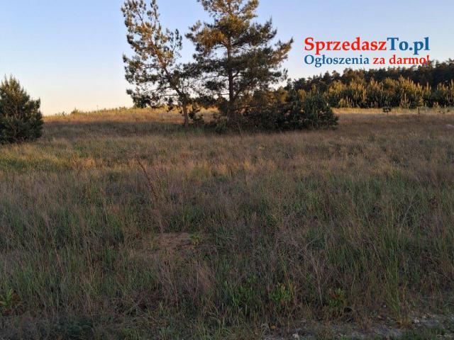 Dzialka