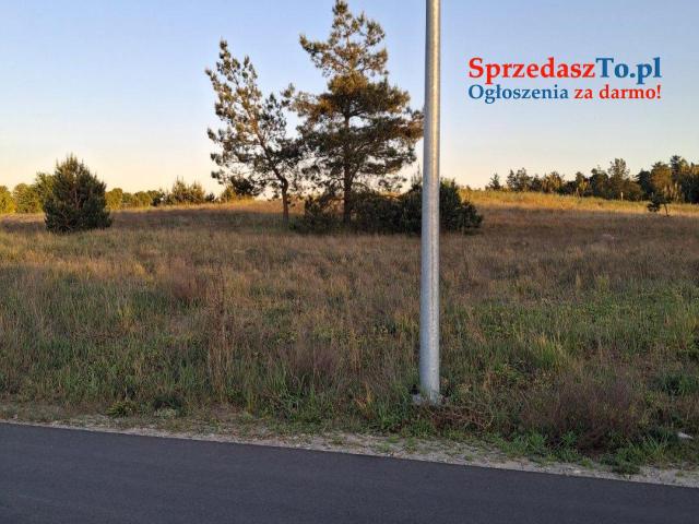 Dzialka