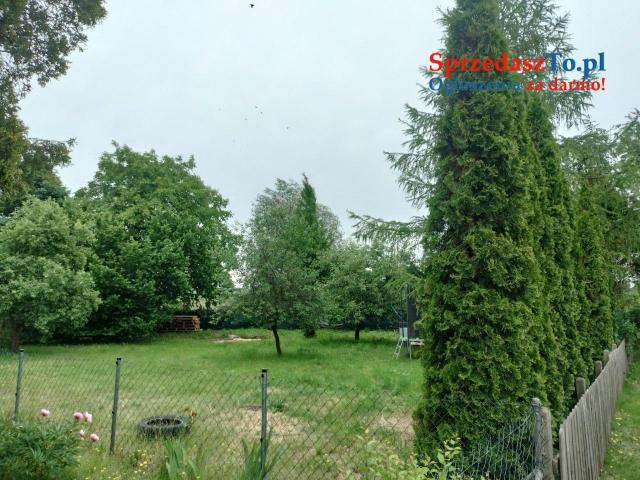 Działka ROD - 8
