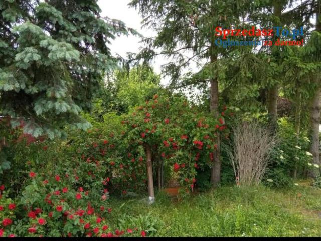 Sprzedam mieszkanie w bloku na wsi - 6