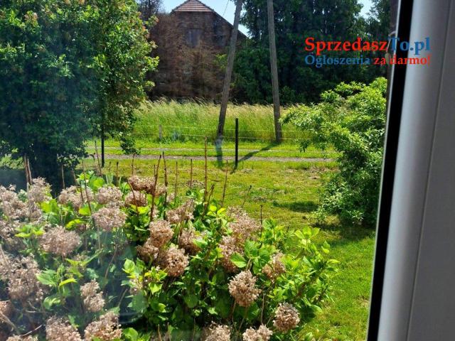 Dom z pięknym ogrodem w ciszy, blisko Krakowa - 8