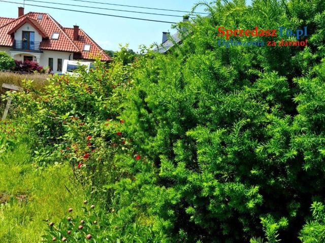 Dom z pięknym ogrodem w ciszy, blisko Krakowa - 14