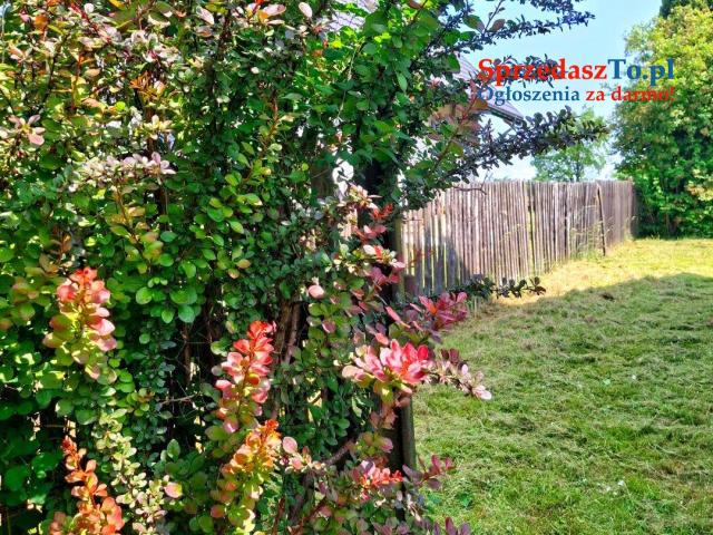 Dom z pięknym ogrodem w ciszy, blisko Krakowa - 22