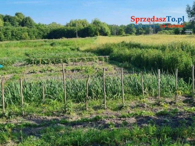 Siedlisko dom działka ze stawem - 6