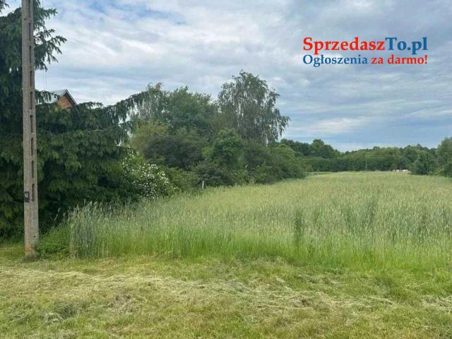 Siedlisko dom działka ze stawem - 7