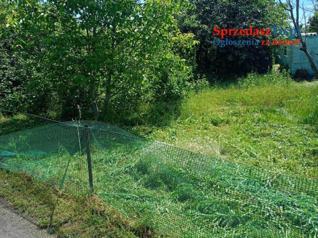 Sprzedam działkę ROD - 10