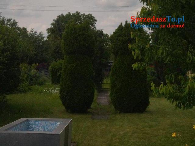 Ogródek działkowy - 8