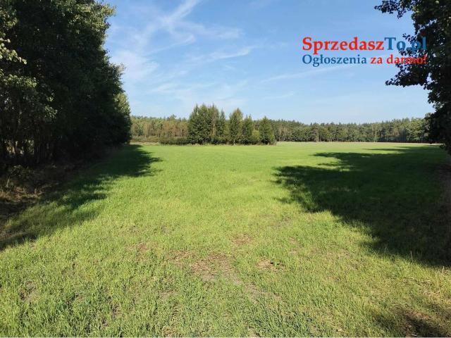 Działka 0,57 ha,bez MPZP, 6,5km od morza,prąd, okolice Pobierowo Rewal