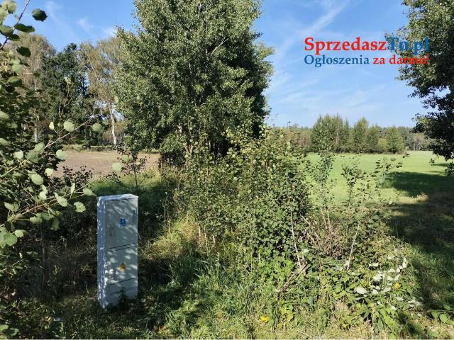 Działka 0,57 ha,bez MPZP, 6,5km od morza,prąd, okolice Pobierowo Rewal