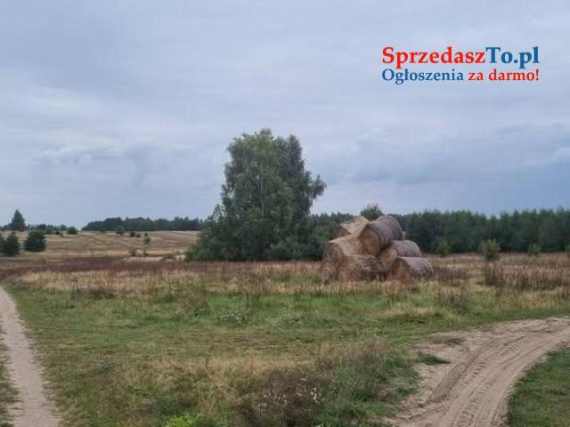 Sprzedam działkę 2,65 ha